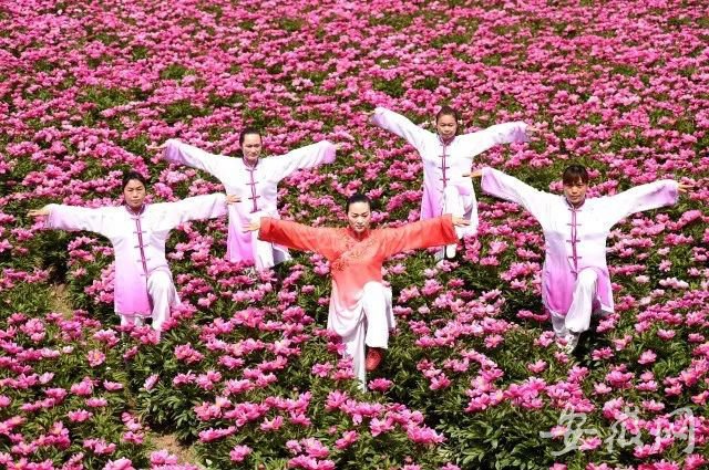 TIM图片20190425111327